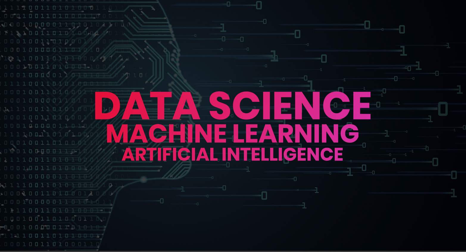 DATA SCIENCE MACHINE LEARNING ARTIFICIAL INTELLIGENCE visual data 6
