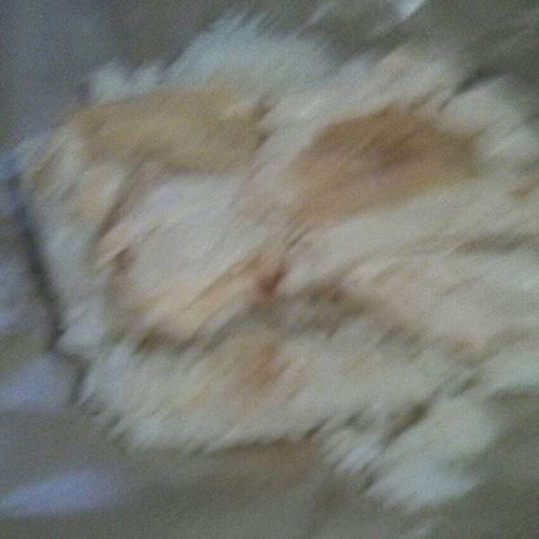 blur chicken rice